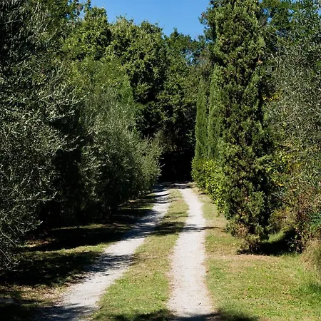 Poggio Oliveto Villa